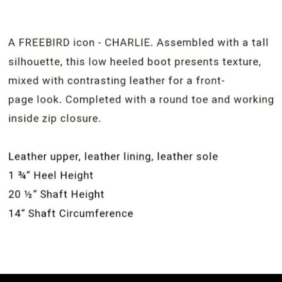 Freebird Charlie 7 - Picture 2 of 7